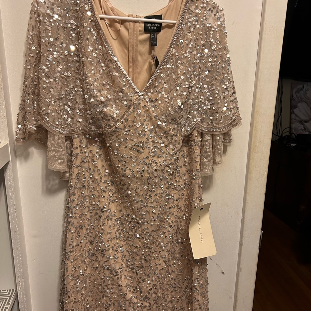 Adrianna Papell Dress Size 10 never worn. new w/tags
